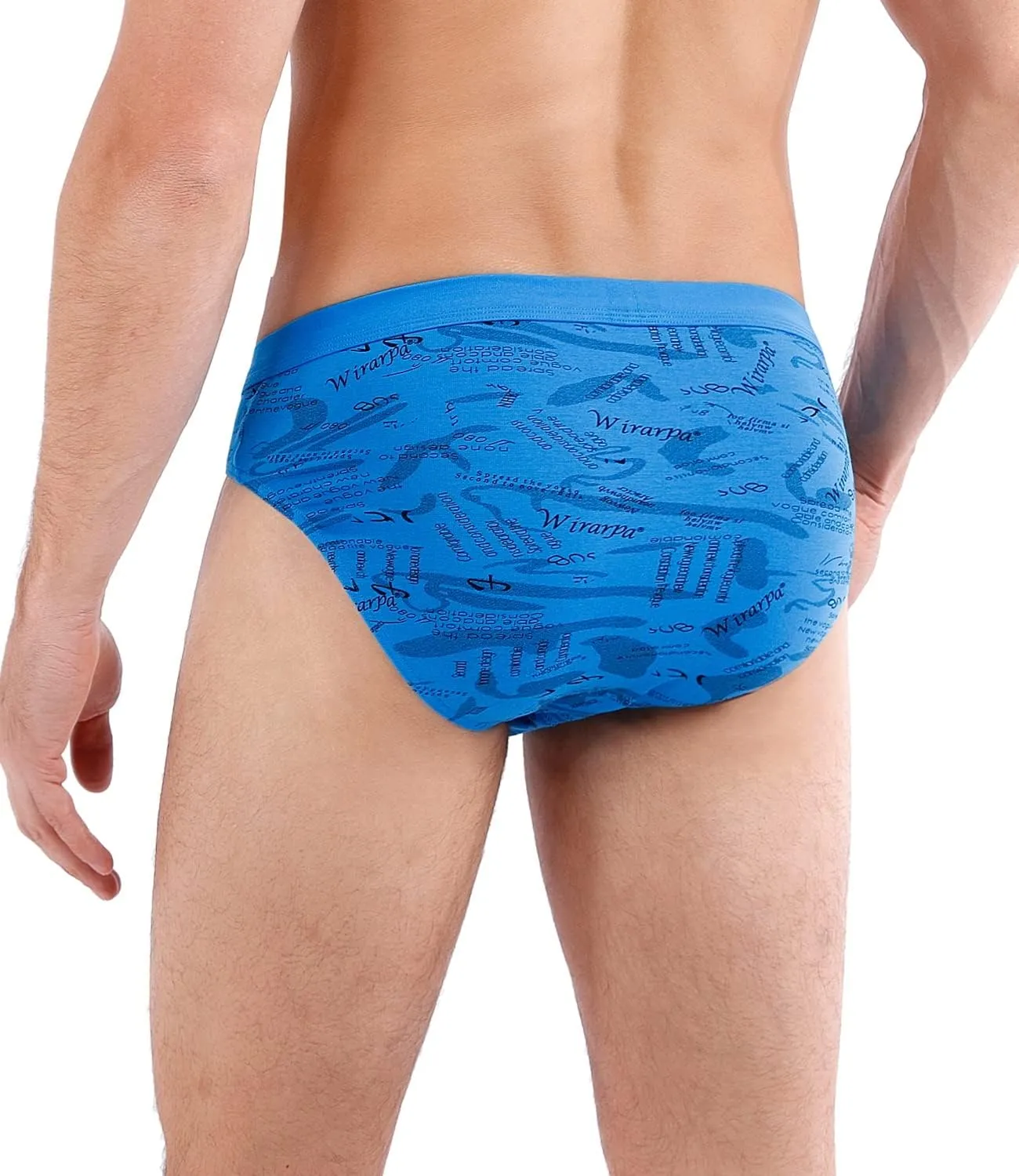 wirarpa Men's Underwear Modal Microfiber Briefs No Fly Covered Waistband Silky Touch Underpants 4 Pack